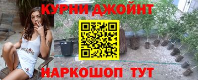 крисы Севастополь