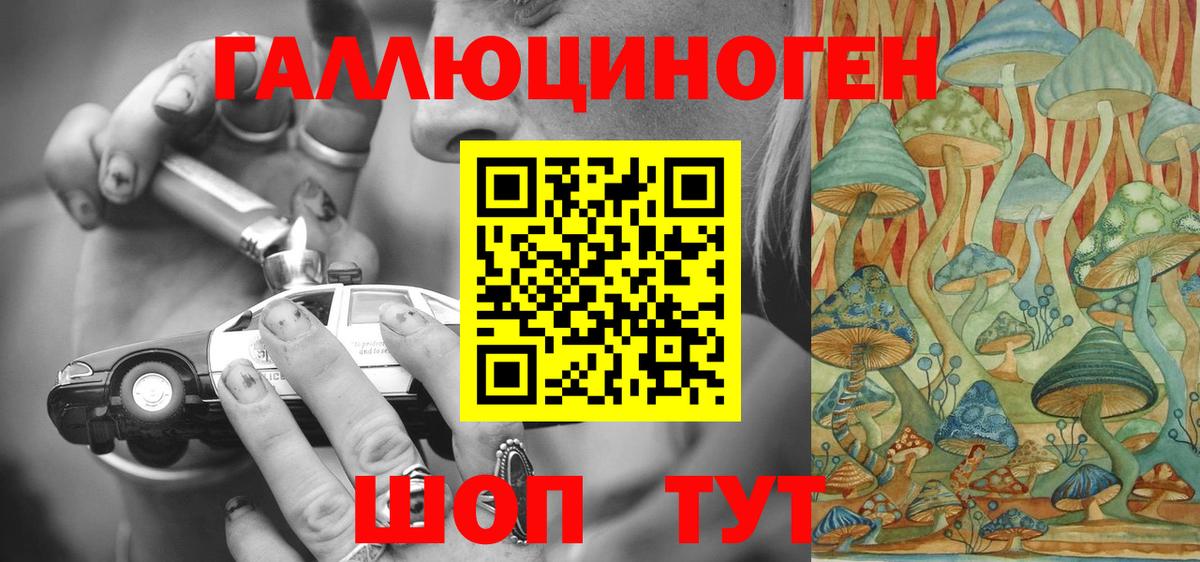 Псилоцибиновые грибы Psilocybe Петропавловск-Камчатский