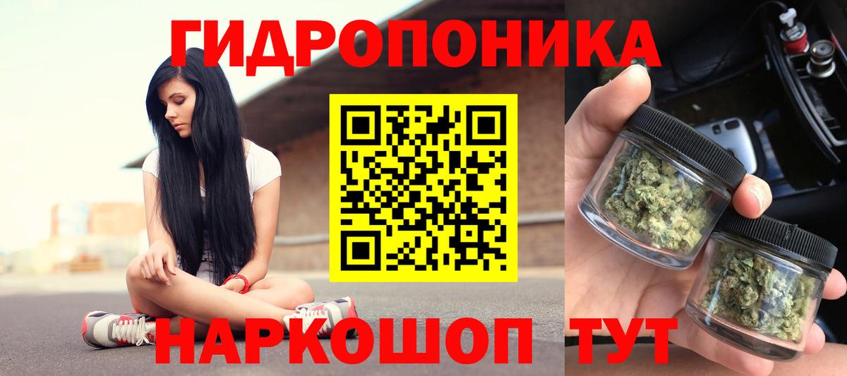 Бошки марихуана сатива  Шишки марихуана White Widow  Вход с VPN  Петропавловск-Камчатский  Марихуана THC 21% 